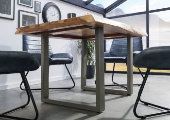 Baumtisch Sheesham 140x90x77 natur sandgestrahlt /U-Beine silber matt FREEFORM 5