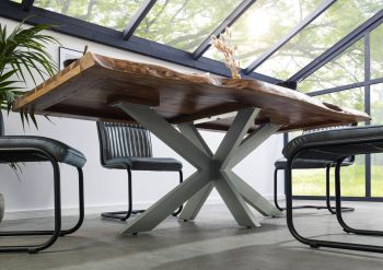 Baumtisch Sheesham 220x100x77 natur sandgestrahlt / Kreuzgestell silber matt FREEFORM 5