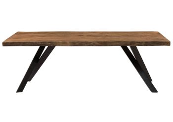Baumtisch Sheesham 200x100x76 natur gebeizt / A-Gestell anthrazit matt FREEFORM 5