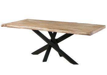Baumtisch Mango 180x90x79 beige lackiert / Mikado-Beine anthrazit matt FREEFORM 5