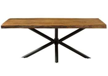 Baumtisch Mango 200x100x76 natur lackiert / Kreuzgestell anthrazit matt FREEFORM 5