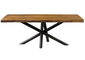 Baumtisch Mango 200x100x76 natur lackiert / Mikado-Beine anthrazit matt FREEFORM 5