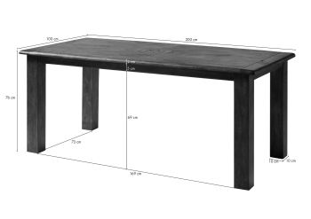 Esstisch Mango 200x100x76 braun lackiert RAILWAY #1115