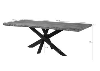 Baumtisch Sheesham 200x100x79 natur gebeizt / Mikado-Beine anthrazit matt FREEFORM 5