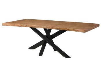 Baumtisch Sheesham 200x100x79 natur gebeizt / Mikado-Beine anthrazit matt FREEFORM 5
