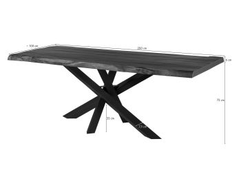 Baumtisch Mango 200x100x79 grau lackiert / Mikado-Beine anthrazit matt FREEFORM 5