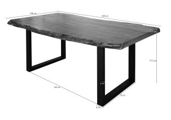 Baumtisch Akazie 220x100x77 natur lackiert / U-Beine anthrazit matt FREEFORM 5