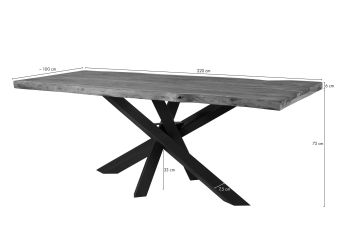 Baumtisch Sheesham 220x100x79 grau gebeizt / Mikado-Beine anthrazit matt FREEFORM 5