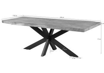 Baumtisch Sheesham 220x100x77 natur sandgestrahlt / Kreuzgestell silber matt FREEFORM 5