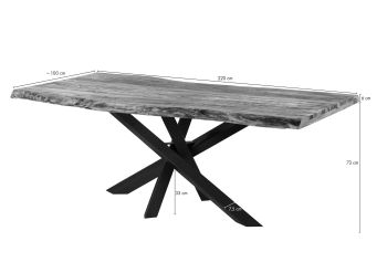 Baumtisch Sheesham 220x100x79 natur sandgestrahlt / Mikado-Beine anthrazit matt FREEFORM 5