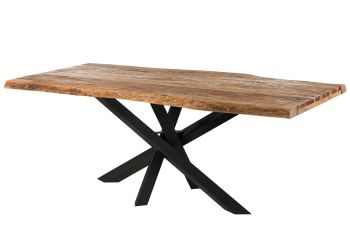 Baumtisch Sheesham 220x100x79 natur sandgestrahlt / Mikado-Beine anthrazit matt FREEFORM 5