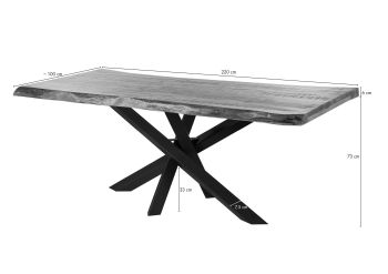 Baumtisch Mango 220x100x79 natur lackiert / Mikado-Beine anthrazit matt FREEFORM 5