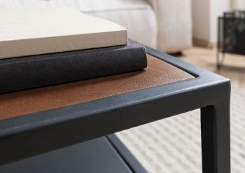 Couchtisch Mango 120x60x43 braun geölt LOUNGE COLLECTION #104