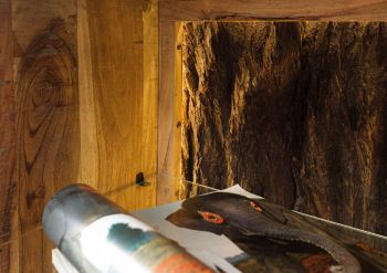 TV-Board Akazie 175x40x63 natur lackiert BARK #111