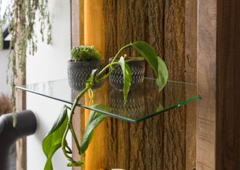 Hängevitrine Akazie 45x30x145 natur lackiert BARK #104
