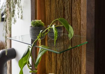 Wandregal Akazie 45x30x145 dunkelbraun lackiert BARK #204