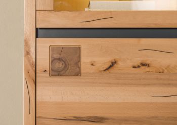 Vitrine Kernbuche 65x40x148 natur geölt VILLANDERS #104