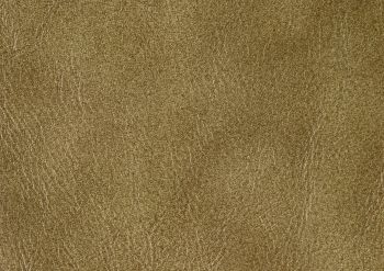 Muster Echtleder 15x20 grün KH-37