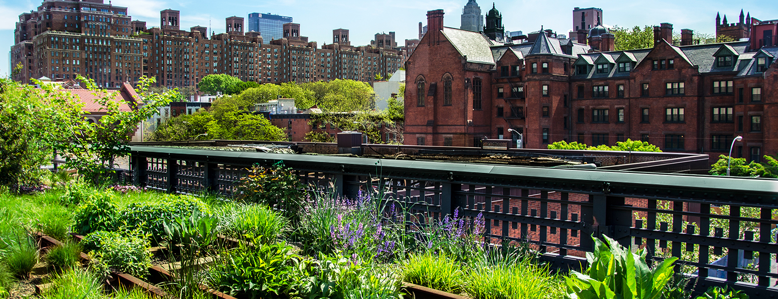 Urban Gardening