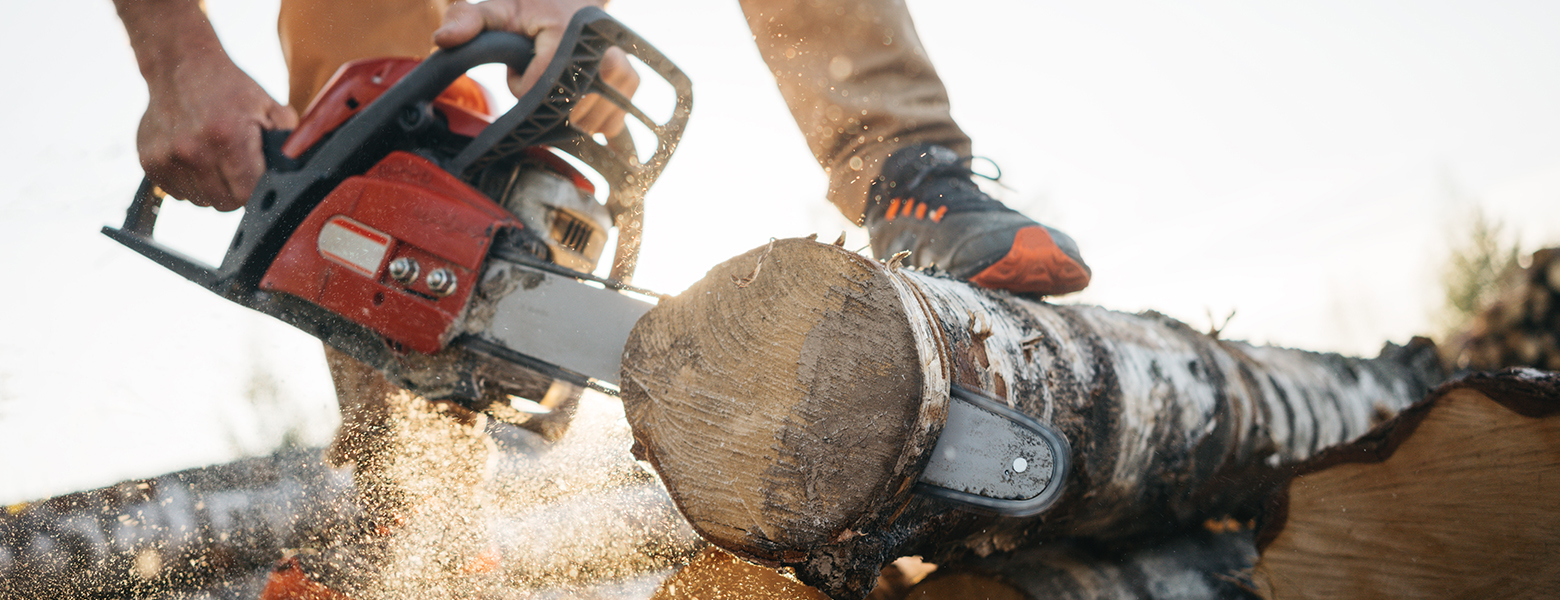 Eigenes Holz im Garten